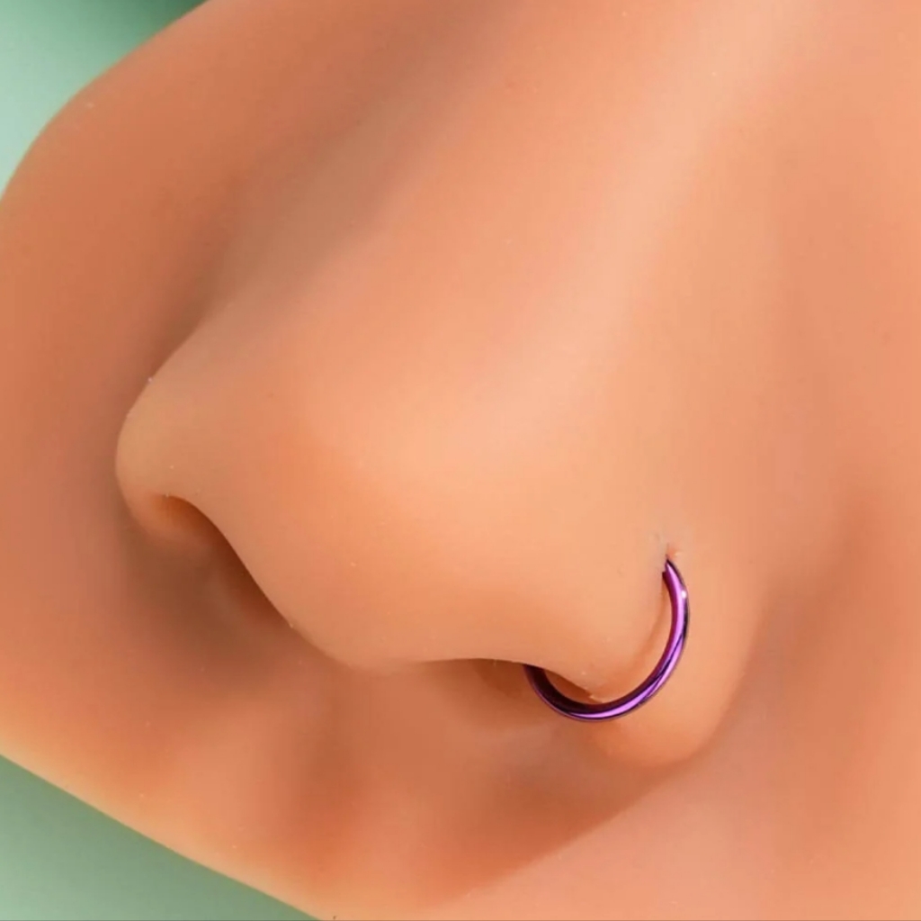 3 Nose Ring Hoops